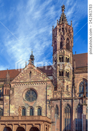 Freiburg Minster transept and main tower in Freiburg, Germany. Gothic architecture of the cathedral under blue sky 142361783