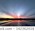 The sunrise and rural landscape reflected in the rice paddies 142362018