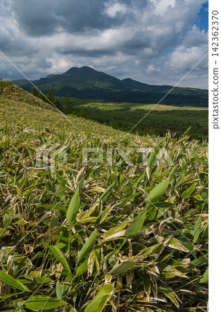 Japan - A view of Mount Musa and the lush green nature in early summer from Kaiyodai in Nakashibetsu Town, Hokkaido. Japan - A view of Mount Musa and the lush green nature in early summer from Kaiyodai in Nakashibetsu Town, Hokkaido. 142362370