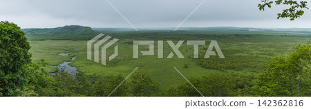 Summer scenery of Kushiro Marshland as seen from the Kottaro Marshland Observatory in Kushiro Marshland National Park, Hokkaido, Japan. Summer scenery of Kushiro Marshland as seen from the Kottaro Marshland Observatory in Kushiro Marshland National Park, Hokkaido, Japan. 142362816