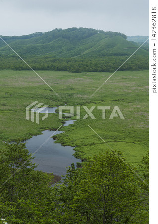 Summer scenery of Kushiro Marshland as seen from the Kottaro Marshland Observatory in Kushiro Marshland National Park, Hokkaido, Japan. Summer scenery of Kushiro Marshland as seen from the Kottaro Marshland Observatory in Kushiro Marshland National Park, Hokkaido, Japan. 142362818