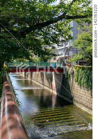 【東京】盛夏時節，目黑川綠意盎然，景色宜人（2026年8月） 142363220