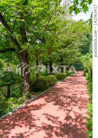 Tokyo: A famous Japanese landmark - the promenade along the Meguro River, overflowing with fresh greenery (August 2026) Tokyo: A famous Japanese landmark - the promenade along the Meguro River, overflowing with fresh greenery (August 2026) 142363417