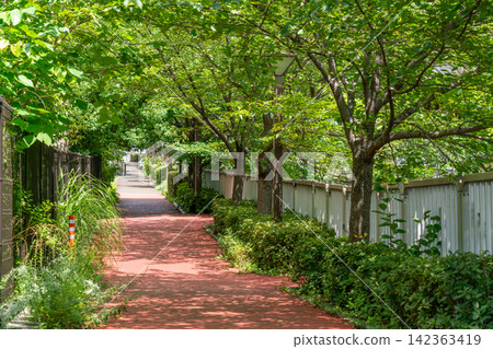 Tokyo: A famous Japanese landmark - the promenade along the Meguro River, overflowing with fresh greenery (August 2026) Tokyo: A famous Japanese landmark - the promenade along the Meguro River, overflowing with fresh greenery (August 2026) 142363419