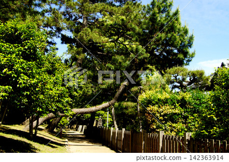 The former Takatori Residence, a historical tourist attraction in Karatsu City, Saga Prefecture. The former Takatori Residence, a historical tourist attraction in Karatsu City, Saga Prefecture. 142363914