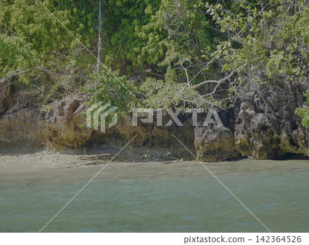 Scenic view of calm turquoise ocean water and lush tropical green coastline at Sembulungan Island, Muncar, Banyuwangi, East Java, Indonesia. Scenic view of calm turquoise ocean water and lush tropical green coastline at Sembulungan Island, Muncar, Banyuwangi, East Java, Indonesia. 142364526