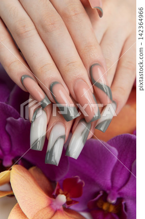 Woman's hand showing modern gray french manicure design Woman's hand showing modern gray french manicure design 142364966