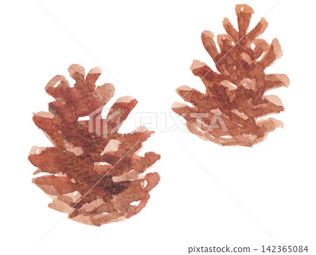 Watercolor illustration of a pine cone Watercolor illustration of a pine cone 142365084