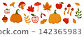 Autumn cozy botanical elements set isolated on white. Fall season forest icons collection including pumpkin, foliage, apple, mushroom, berries, acorn 142365983