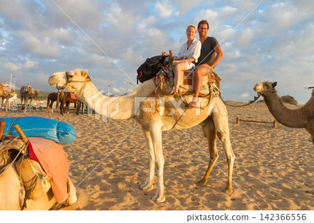 Happy young couple sitting together on a camel on a sandy beach, smiling during a sunny golden hour sunset in Essaouira, Morocco 142366556