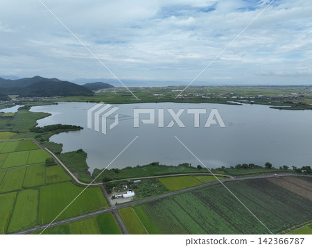 無人機空拍滋賀縣西之湖附近稻田的照片。 無人機空拍滋賀縣西之湖附近稻田的照片。 142366787