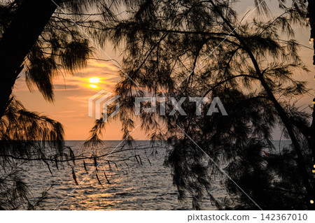 photograph of silhouette tree branches in the foreground with the red twilight sky of sunset scene with a cloudy sky over the open ocean with many waves photograph of silhouette tree branches in the foreground with the red twilight sky of sunset scene with a cloudy sky over the open ocean with many waves 142367010