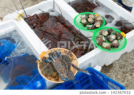 新鮮的龍蝦、海螺和螃蟹在直銷店和魚市上整齊地擺放著。 142367032