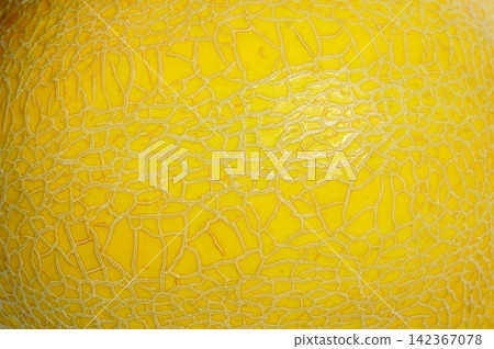 background texture surface of golden cantaloup background texture surface of golden cantaloup 142367078