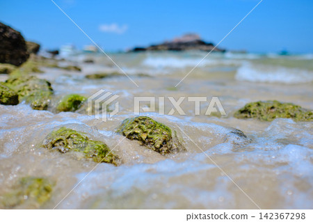 green algae cover small rocks that put on the sandy beach of the small island with blurred background blue sky green algae cover small rocks that put on the sandy beach of the small island with blurred background blue sky 142367298