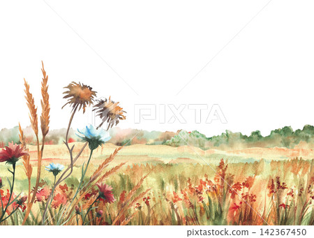 Autumn field with red, orange wildflowers, green yellow grasses and seasonal colorful forest trees silhouettes Hand drawn watercolor landscape with nature fall meadow. Isolated from background. Autumn field with red, orange wildflowers, green yellow grasses and seasonal colorful forest trees silhouettes Hand drawn watercolor landscape with nature fall meadow. Isolated from background. 142367450