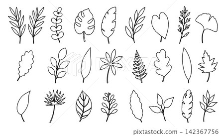 Botanical Leaf line art Collection with Tropical and Forest Foliage.Vector Illustration 142367756