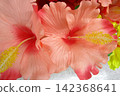 Colorful artificial flower bouquet 142368641