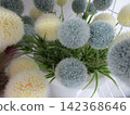 Colorful artificial flower bouquet 142368646