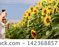 Taking photos in a sunflower field - 1 142368857