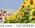 Taking photos in a sunflower field - Part 2 142368890