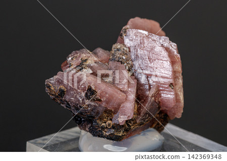 macro mineral stone Rhodochrosite on a black background macro mineral stone Rhodochrosite on a black background 142369348