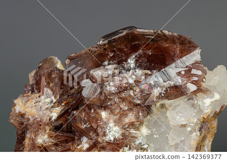 Macro minerals Axinite stone on a gray background Macro minerals Axinite stone on a gray background 142369377