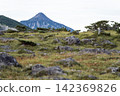 Northern Alps, Mt. Kasagatake, viewed from Kumonodaira Northern Alps, Mt. Kasagatake, viewed from Kumonodaira 142369826
