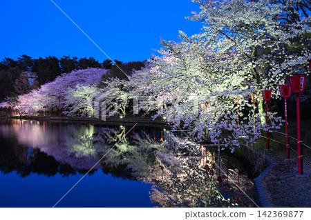 Cherry blossoms illuminated at night at Benten-gata Scenic Park (Seiro-machi, Niigata Prefecture) Cherry blossoms illuminated at night at Benten-gata Scenic Park (Seiro-machi, Niigata Prefecture) 142369877