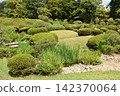 Mansion garden 142370064