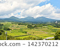 Terraced rice fields and Mount Asama 142370212