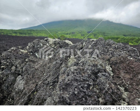 岩手縣岩手山的燒橋熔岩流 岩手縣岩手山的燒橋熔岩流 142370223