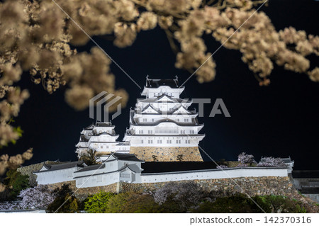 Himeji Castle illuminated at night. Cherry blossoms in full bloom. Himeji Castle illuminated at night. Cherry blossoms in full bloom. 142370316