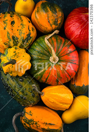 Various decorative pumpkin on green background Various decorative pumpkin on green background 142370366