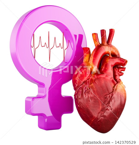 Female heart health symbol with anatomical heart and ECG waveform. 3D rendering Female heart health symbol with anatomical heart and ECG waveform. 3D rendering 142370529