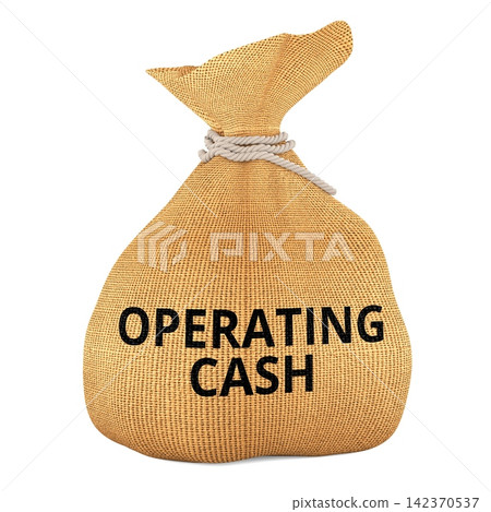 Operating Cash money bag for business liquidity and working capital. 3D rendering Operating Cash money bag for business liquidity and working capital. 3D rendering 142370537