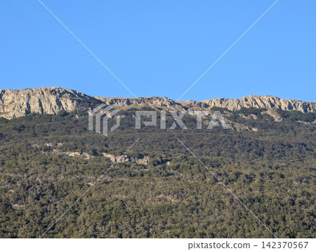 Sunlit Rocky Ridge Above Dense Patagonian Woodland Sunlit Rocky Ridge Above Dense Patagonian Woodland 142370567