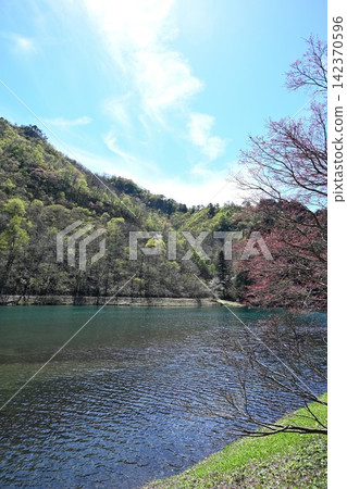 Awagatake Prefectural Recreation Area and Kamo Water Source (Kamo City, Niigata Prefecture) Awagatake Prefectural Recreation Area and Kamo Water Source (Kamo City, Niigata Prefecture) 142370596