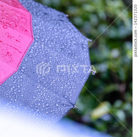 Raindrops on an umbrella, rainy season, rain image Raindrops on an umbrella, rainy season, rain image 142371320