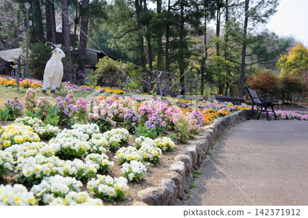 A refreshing spring flower garden A refreshing spring flower garden 142371912