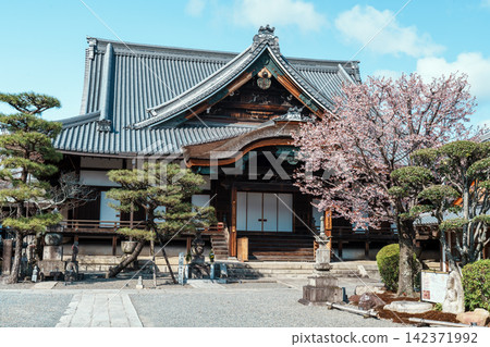 清城會院櫻八須賀 清城會院櫻八須賀 142371992