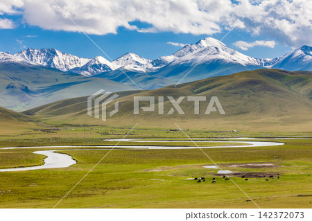 Snowy Mountain Landscape with River and Alpine Grassland 142372073