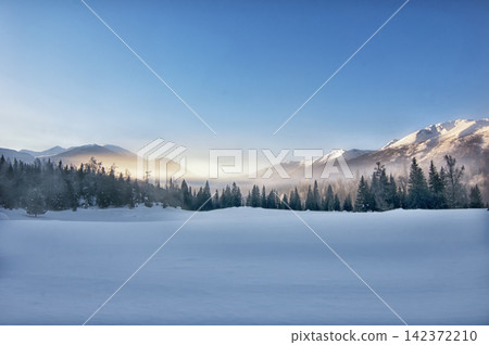 Winter Mountain Landscape with Snowy Forest at Sunrise 142372210