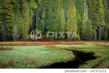Forest Cabin in Lush Evergreen Meadow with Winding Stream Forest Cabin in Lush Evergreen Meadow with Winding Stream 142372212