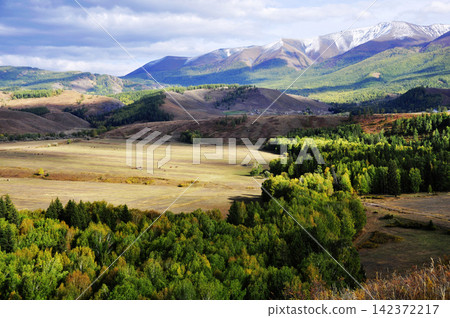 Mountain Valley Landscape with Forest and Snowy Peaks 142372217