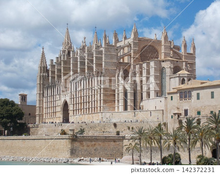 Gothic Cathedral of Palma de Mallorca Under Blue Sky Gothic Cathedral of Palma de Mallorca Under Blue Sky 142372231
