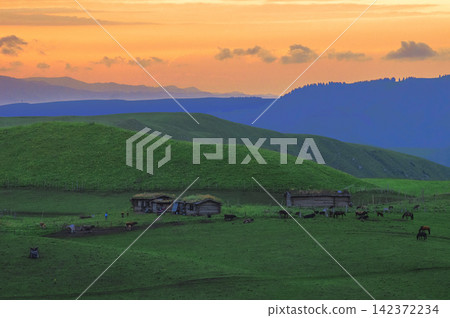 Mountain Pasture at Sunset with Grazing Cattle and Rustic Cabins Mountain Pasture at Sunset with Grazing Cattle and Rustic Cabins 142372234