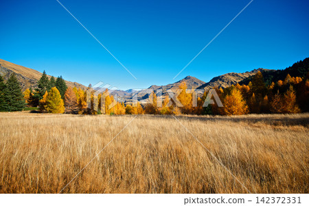 Autumn Mountain Landscape with Golden Trees and Blue Sky Autumn Mountain Landscape with Golden Trees and Blue Sky 142372331