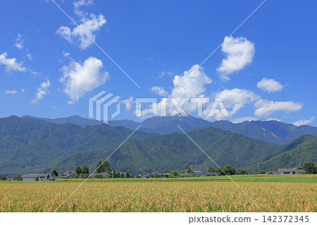 Azumino: August countryside and the Northern Alps 142372345