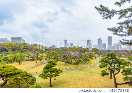 The beautiful green spaces of Hamarikyu Gardens and the cluster of skyscrapers in Shiodome The beautiful green spaces of Hamarikyu Gardens and the cluster of skyscrapers in Shiodome 142372588